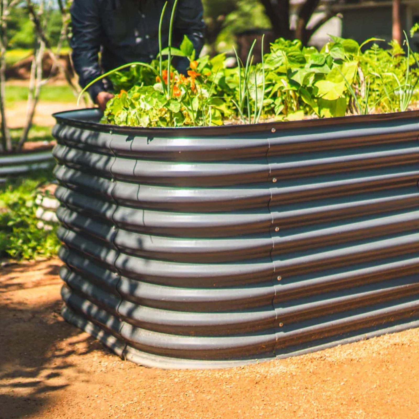 32" Extra Tall Modular Metal Raised Garden Bed Kit - Image 3
