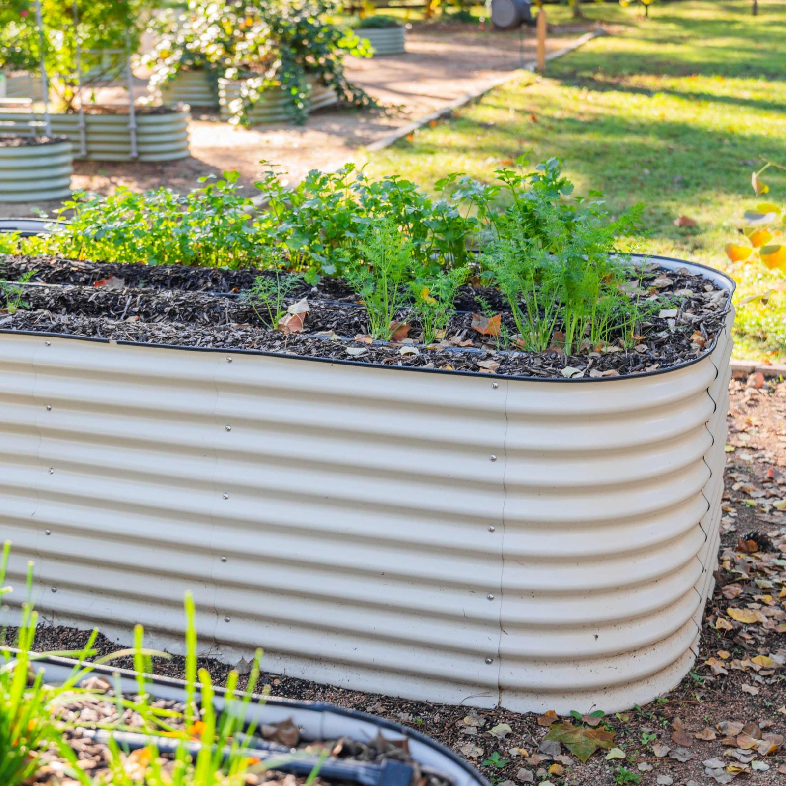 32" Extra Tall Modular Metal Raised Garden Bed Kit - Image 4