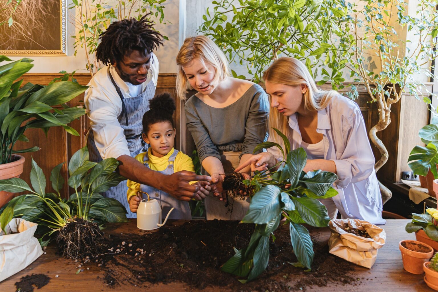 Home and garden lifestyle