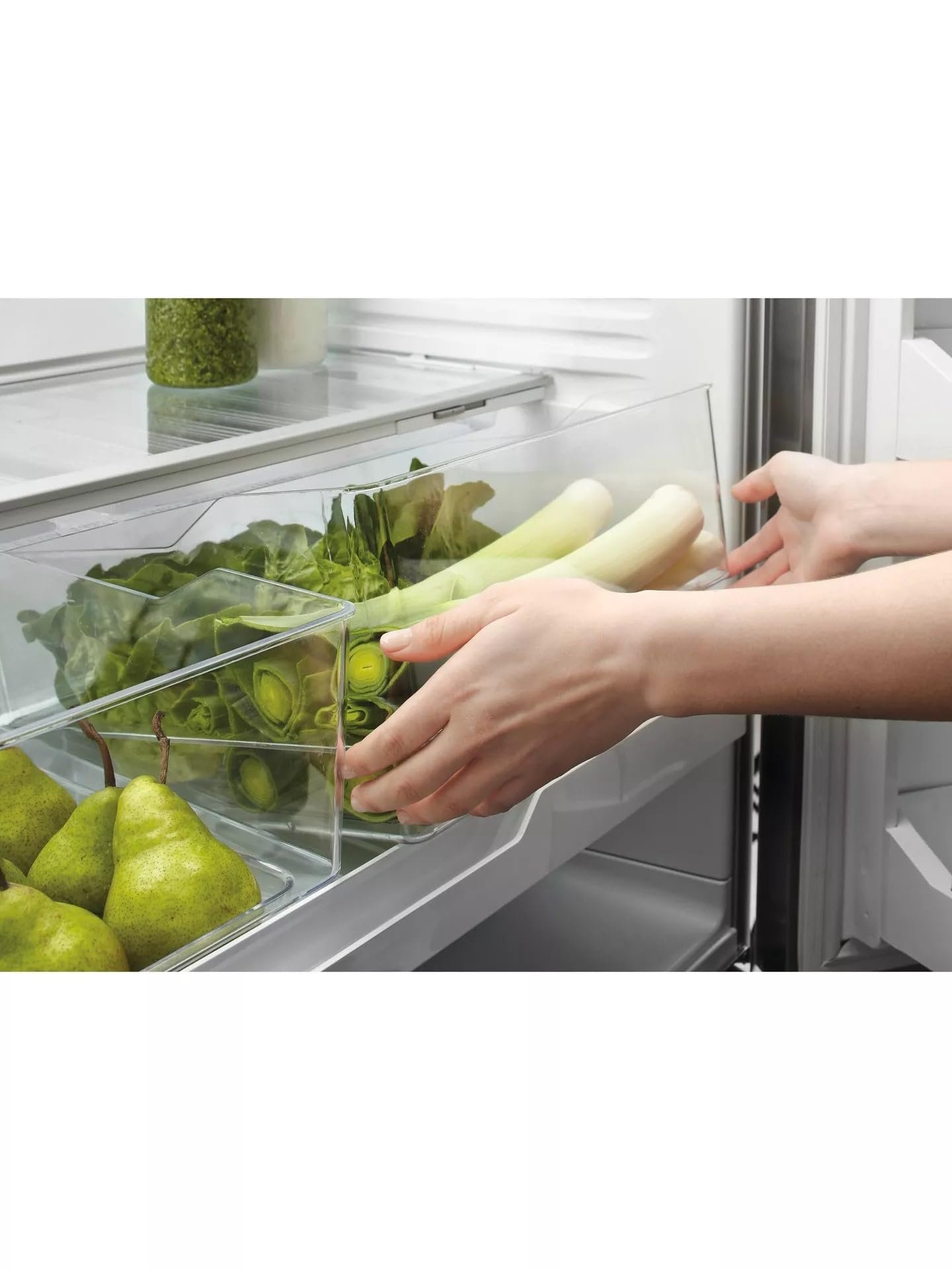 Fisher & Paykel 20 cu ft French Door Refrigerator – Freestanding Frost Free Fridge, Stainless Steel - Image 5